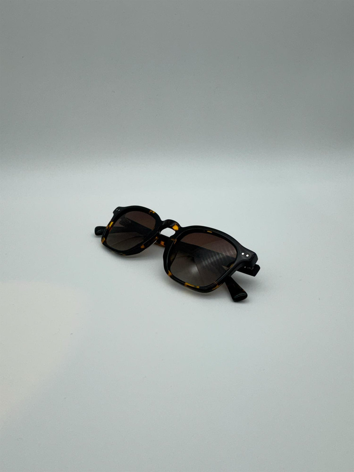 Oslo - Tortoise