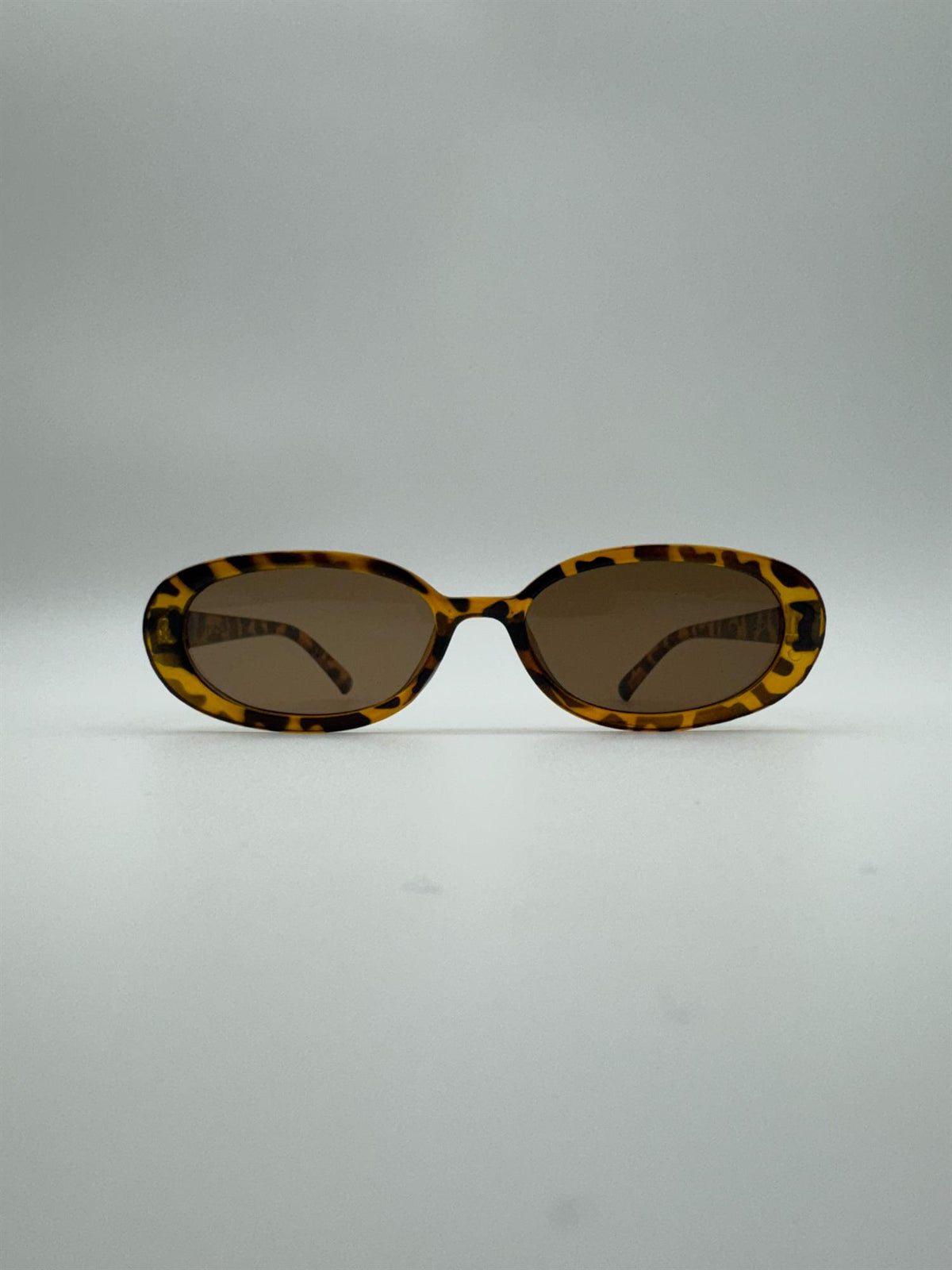 Hedda - Tortoise
