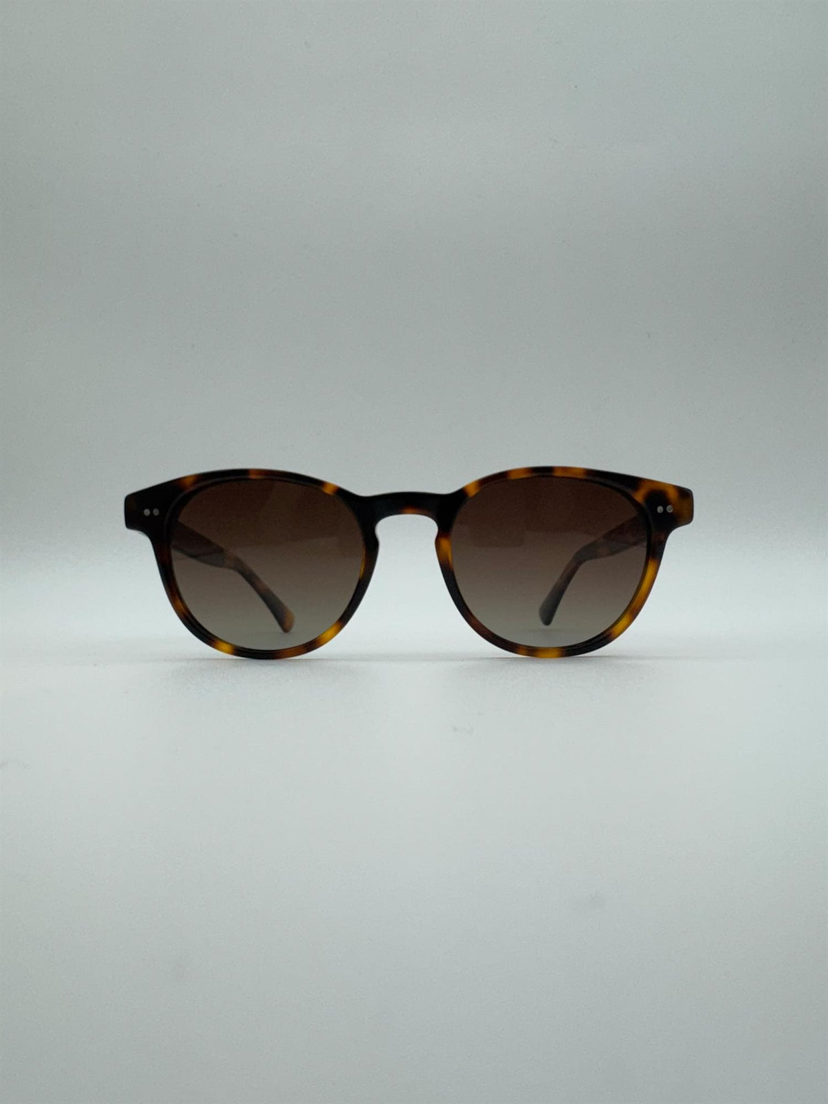 Bergen - Tortoise