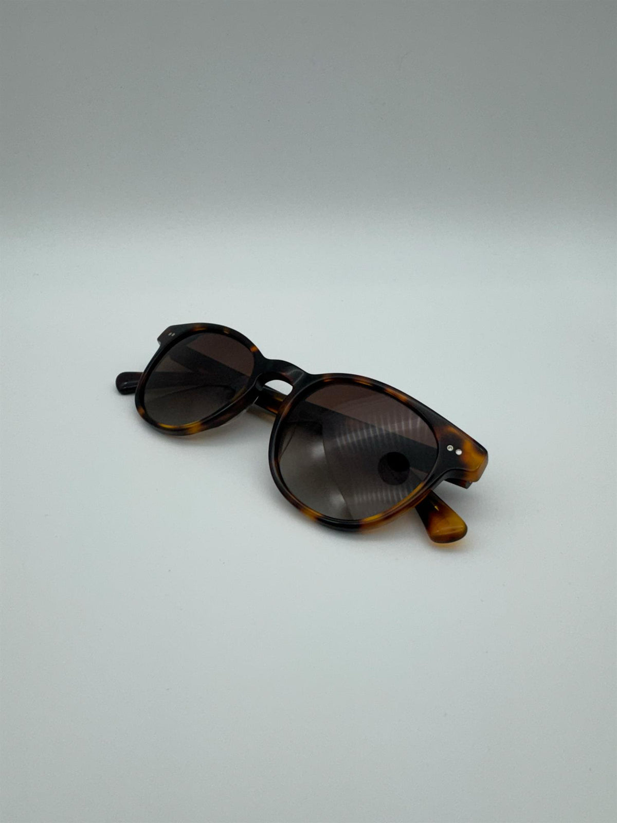 Bergen - Tortoise